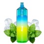Mint 20 mg rechargeable Tornado T9000