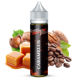 Caramelus 	DELICIOUS 	caramel au beurre salé	noisette grillée	café 	noix de pécan