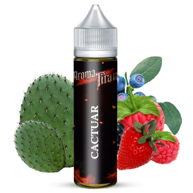 Cactuar 	ORIGIN 	cactus	 baies sauvages	fruits rouges