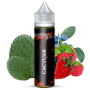 Cactuar ORIGIN  cactus  baies sauvages fruits rouges