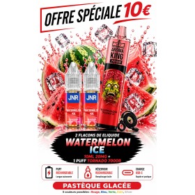 Pack 2X Watermelon Ice + Tornado